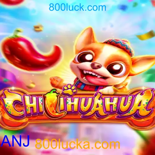 CHILIHUAHUA